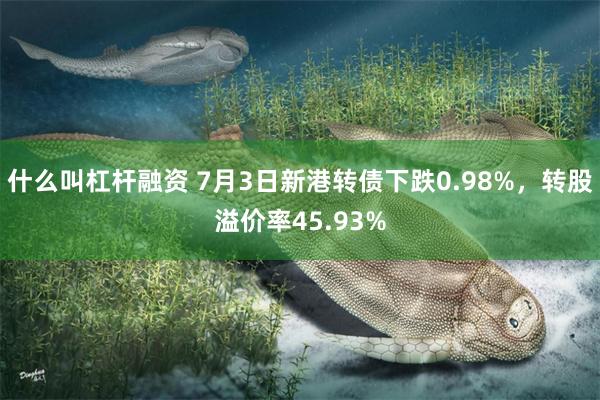 什么叫杠杆融资 7月3日新港转债下跌0.98%，转股溢价率45.93%