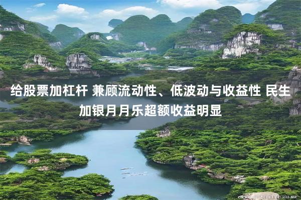 给股票加杠杆 兼顾流动性、低波动与收益性 民生加银月月乐超额收益明显