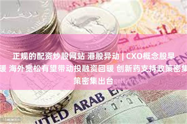 正规的配资炒股网站 港股异动 | CXO概念股早盘回暖 海外宽松有望带动投融资回暖 创新药支持政策密集出台