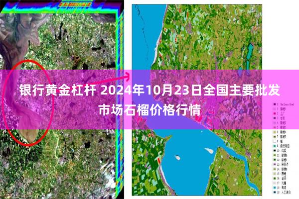 银行黄金杠杆 2024年10月23日全国主要批发市场石榴价格行情