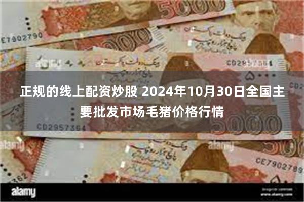 正规的线上配资炒股 2024年10月30日全国主要批发市场毛猪价格行情