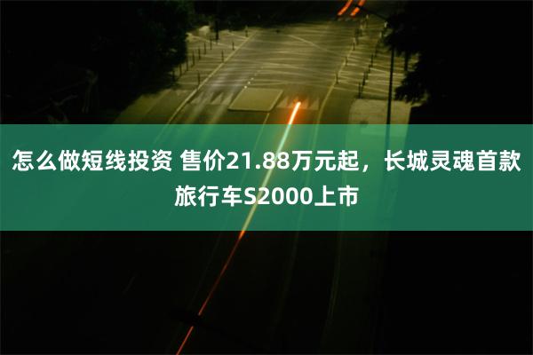 怎么做短线投资 售价21.88万元起，长城灵魂首款旅行车S2000上市