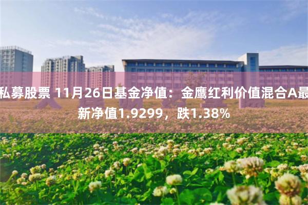 私募股票 11月26日基金净值：金鹰红利价值混合A最新净值1.9299，跌1.38%