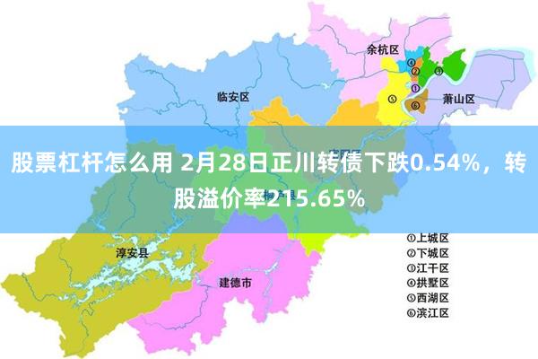 股票杠杆怎么用 2月28日正川转债下跌0.54%，转股溢价率215.65%